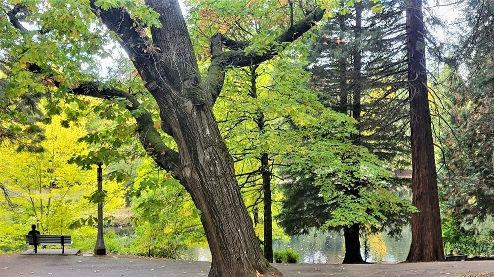 Portland - Laurelhurst Park